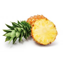 Ananas (au Kilo). Profitez d'un service de livraison express à Dakar avec Dakar Express. Votre colis est en bonnes mains avec nous !