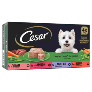 CESAR   PÂTÉE POUR CHIEN AUX LÉGUMES CESAR LES 4X300G. Faites confiance à Dakar Express pour vos livraisons à Dakar. Nous mettons tout en œuvre pour vous satisfaire.