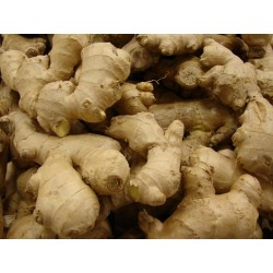 Gingembre "Ginger" (500g ou 250g). Dakar Express, la référence en matière de livraison rapide à Dakar. Nous nous occupons de vos colis avec soin et efficacité.