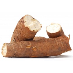 Manioc (au Kilo). Dakar Express : la solution idéale pour vos besoins de livraison rapide à Dakar. Nous nous engageons à vous livrer dans les délais les plus courts.