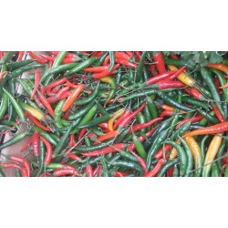 Piment Kani Thioukouri fin (500g). Faites confiance à Dakar Express pour vos livraisons à Dakar. Nous mettons tout en œuvre pour vous satisfaire.