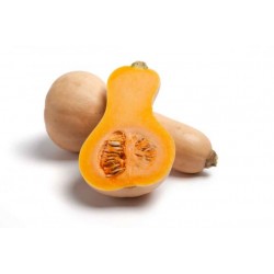 Courge - Butternut "Nadio Cok" (la piece). Dakar Express, le service de livraison qui allie rapidité et efficacité. Vos colis sont entre de bonnes mains.