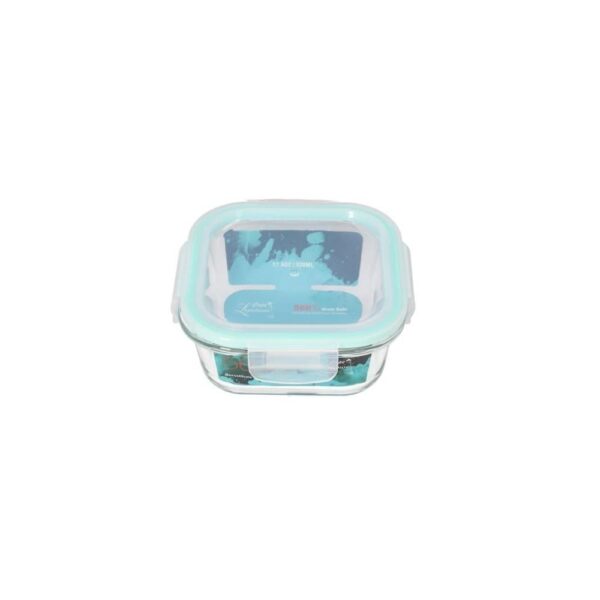 Borosilicate carré transparent Boîte à lunch fraîche de maintien 14cm