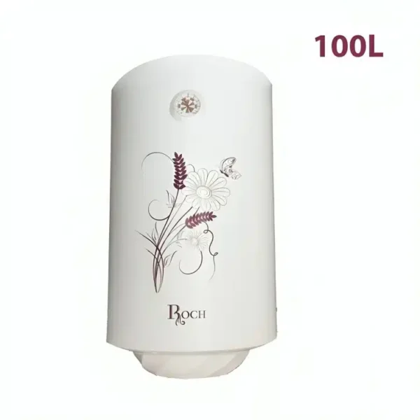 Chauffe Eau Roch 100L