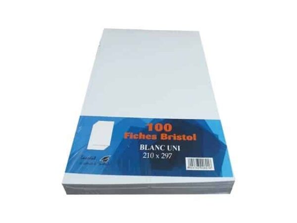 Papier Bristol A4 Couleur 180G - 100 Pieces 21X29MM