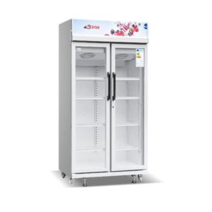 Refrigerateur Vitrine ASTECH 2 Portes FV590DD