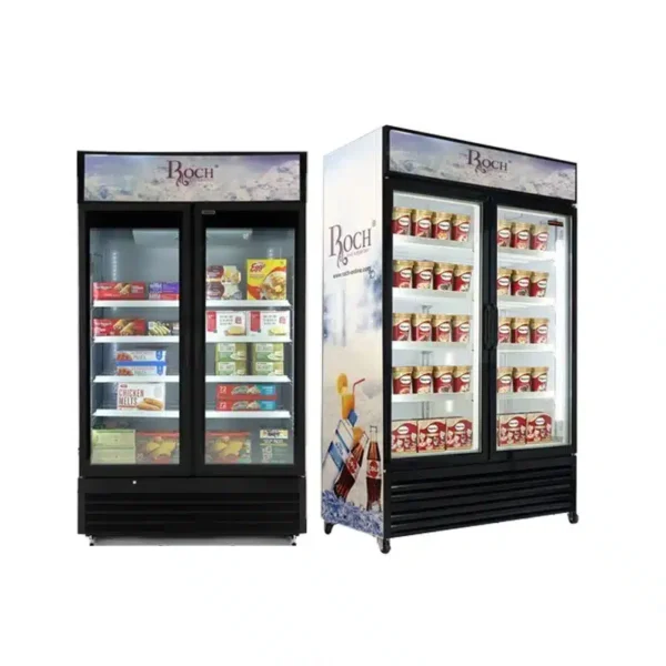 Refrigerateur Vitrine ROCH 2 Portes RSF-700-O