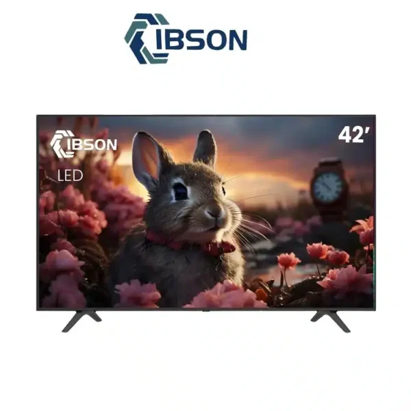 Téléviseur Ibson 42 Led IB42FT1002